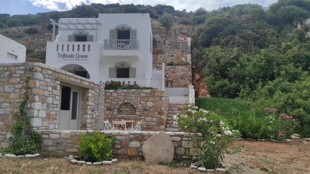 Villa Delfinaki Lionas Luaran gambar